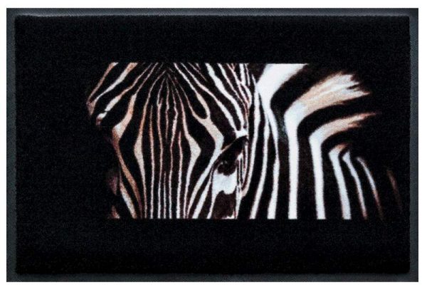 Elegáns prémium lábtörlő - zebra